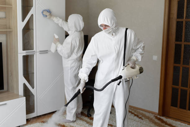 Best Commercial Mold Remediation in Hamlin, TX